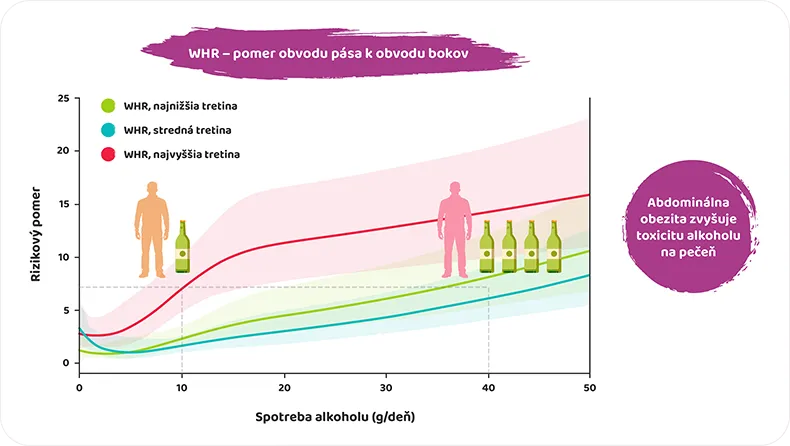 graf pomeru pása a bokov